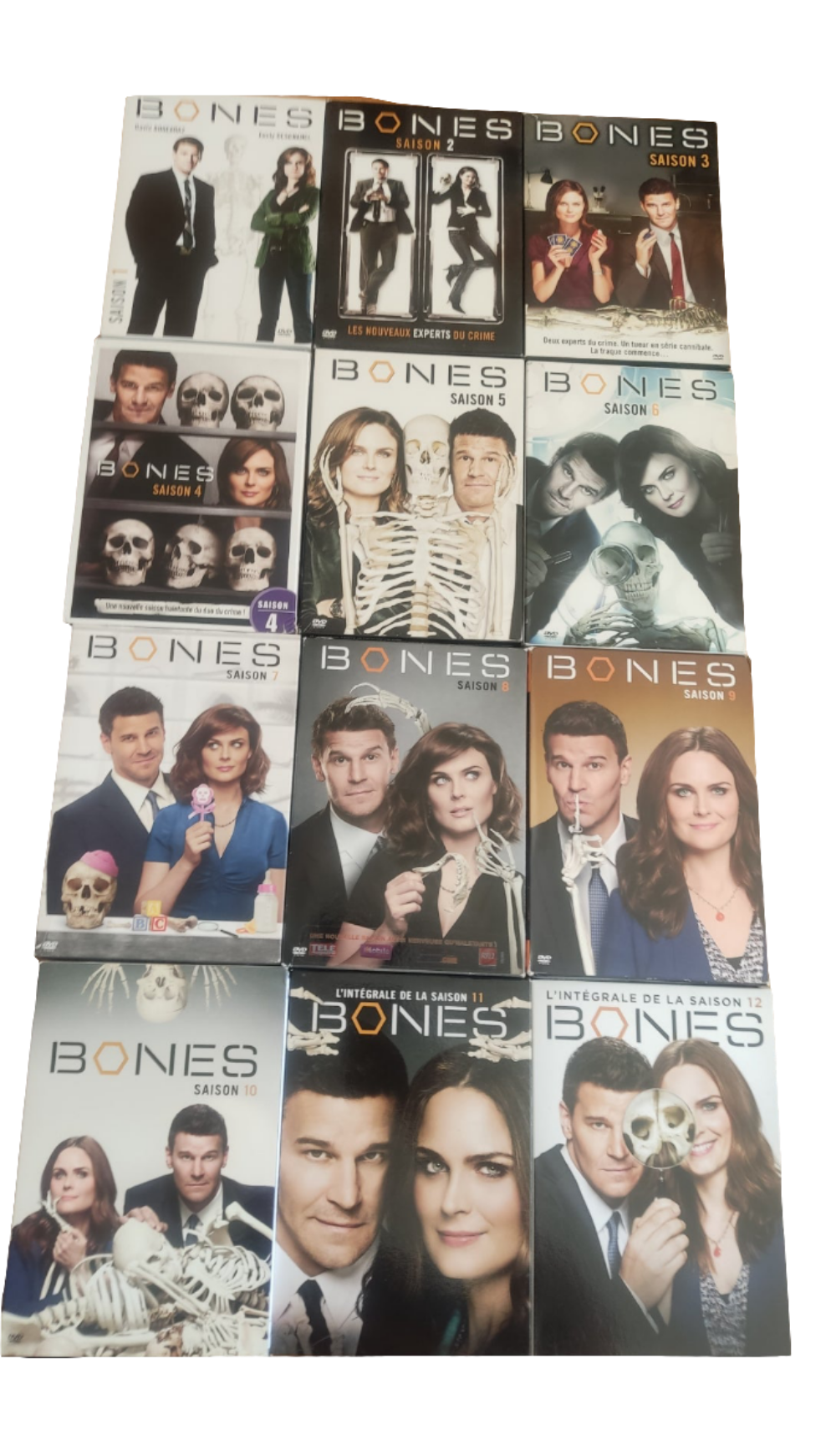 Intégrale de la série Bones en DVD